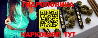 сатива Аргун