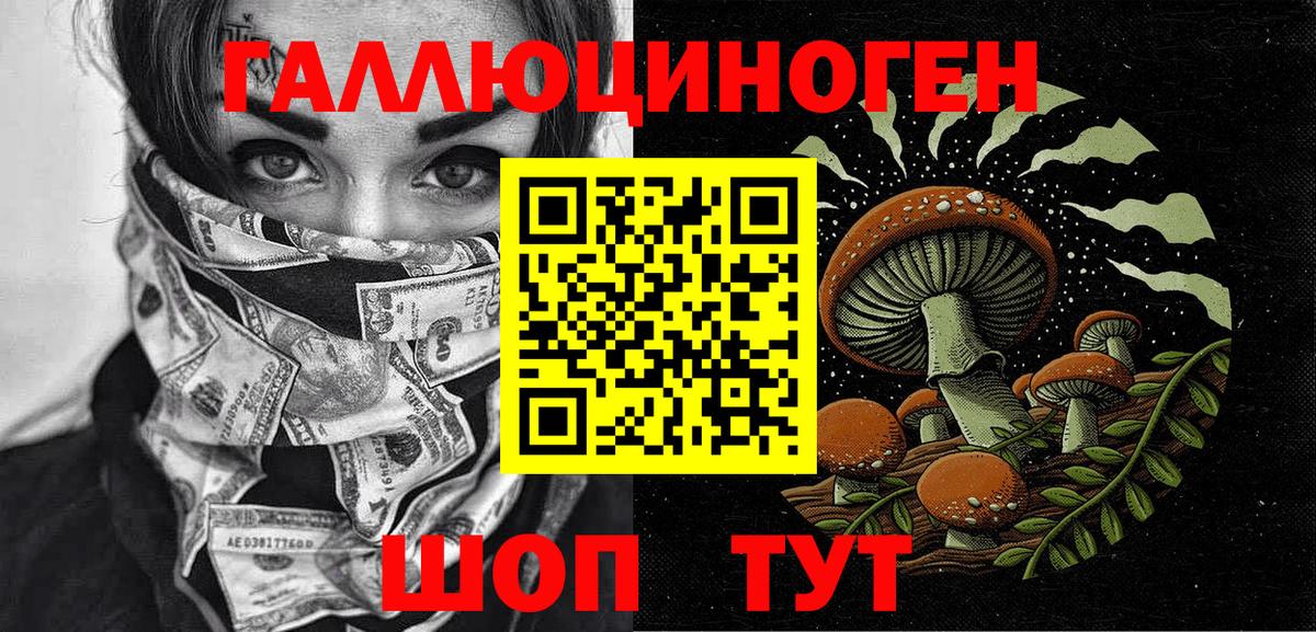 купить закладку  Псилоцибиновые грибы Psilocybine cubensis  Вход с VPN  Белгород 